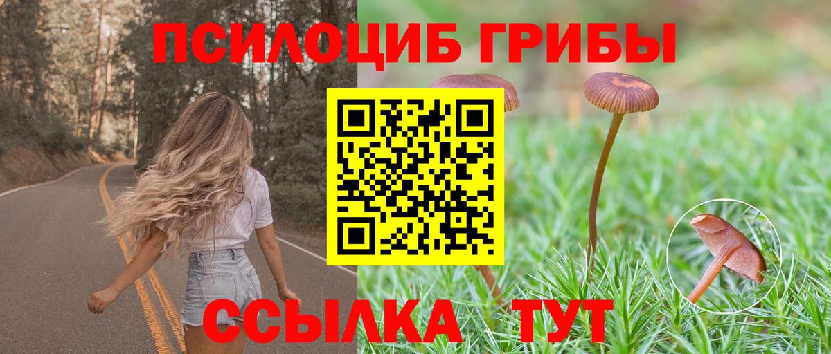 Галлюциногенные грибы ЛСД Кумертау