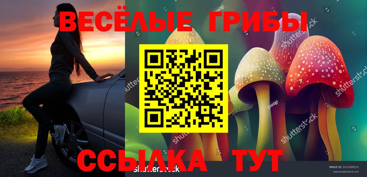Галлюциногенные грибы мухоморы  Вход с VPN  Кумертау  Псилоцибиновые грибы GOLDEN TEACHER 